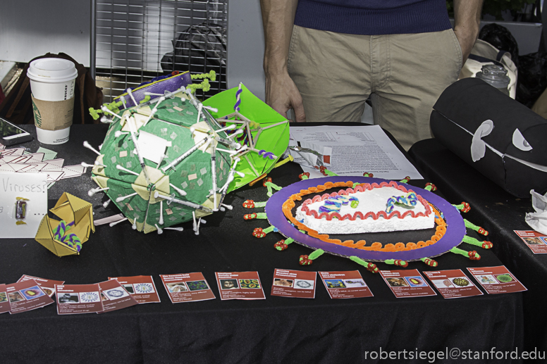 pandemic family day at the Cal Academy